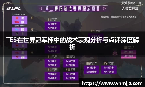 TES在世界冠军杯中的战术表现分析与点评深度解析